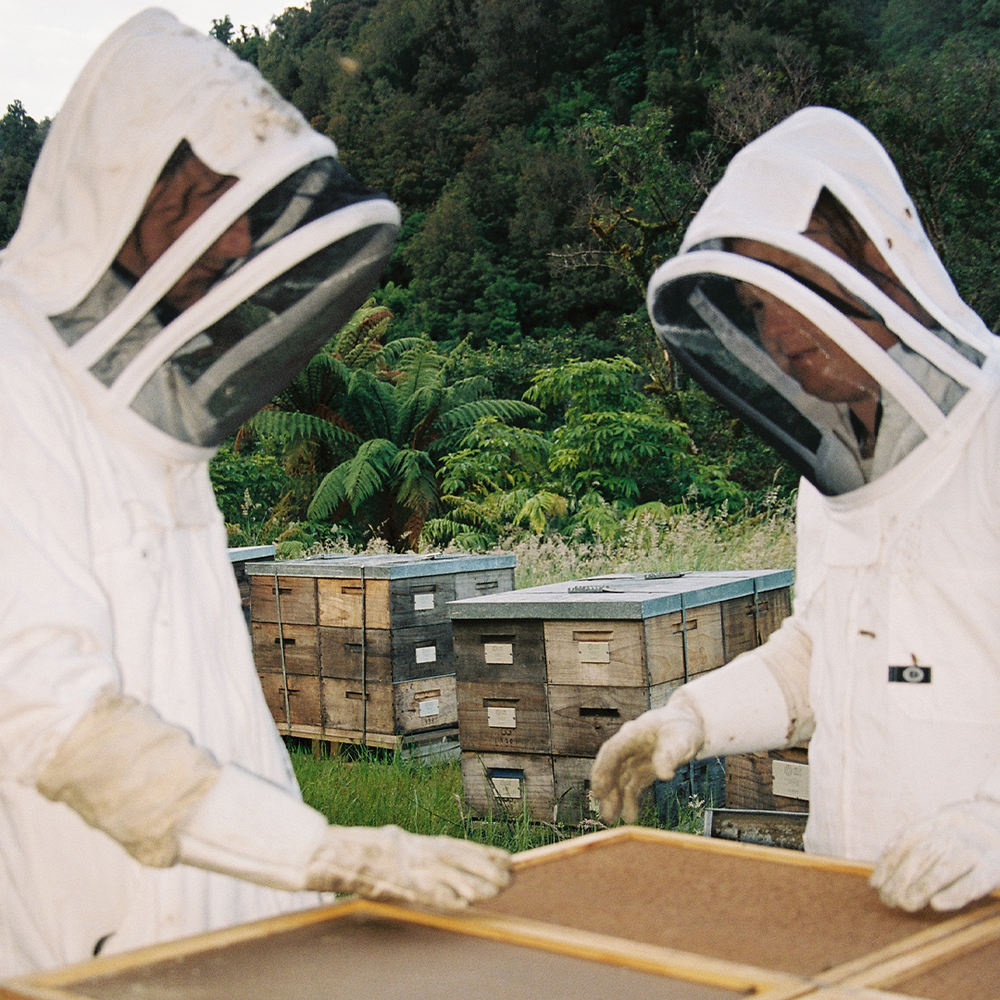 Buzz Club's Bee keepers in the native rainforests where we source our native honey. 